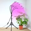 Full Spectrum Indoor Plant Grow Light with Adjustable Stand – 80 LEDs Floor Plant Lamp, 5 Dimming Levels (20%-100%), 3/9/12H Auto On/Off Timer