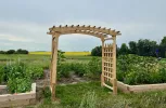 Pagoda Wedding Arbor